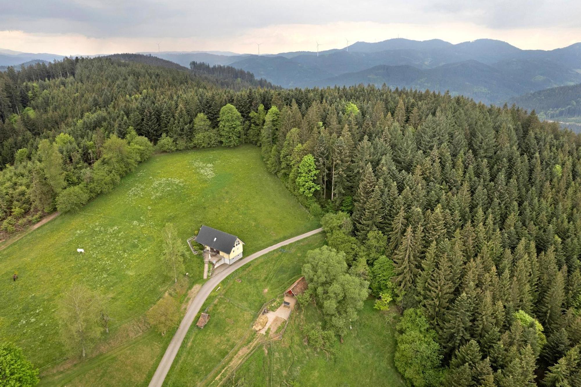 Landeckhof Vila Oberwolfach Exterior foto